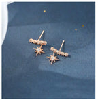 Boucle d’oreille SHINY